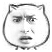 13.png
