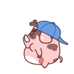 11.png
